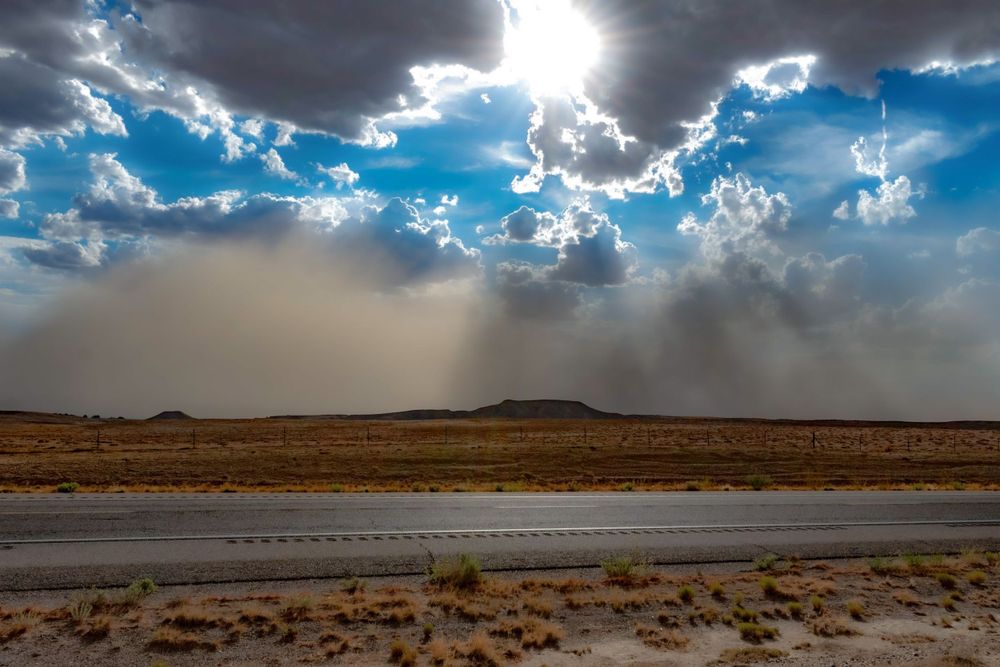 New Mexico