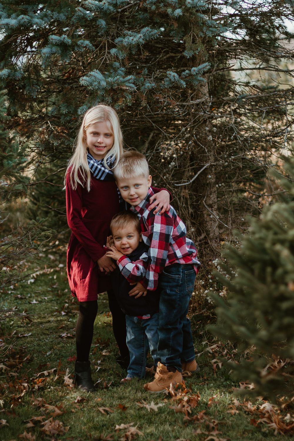 A sweet family moment shared among evergreen trees during an outdoor photo session.