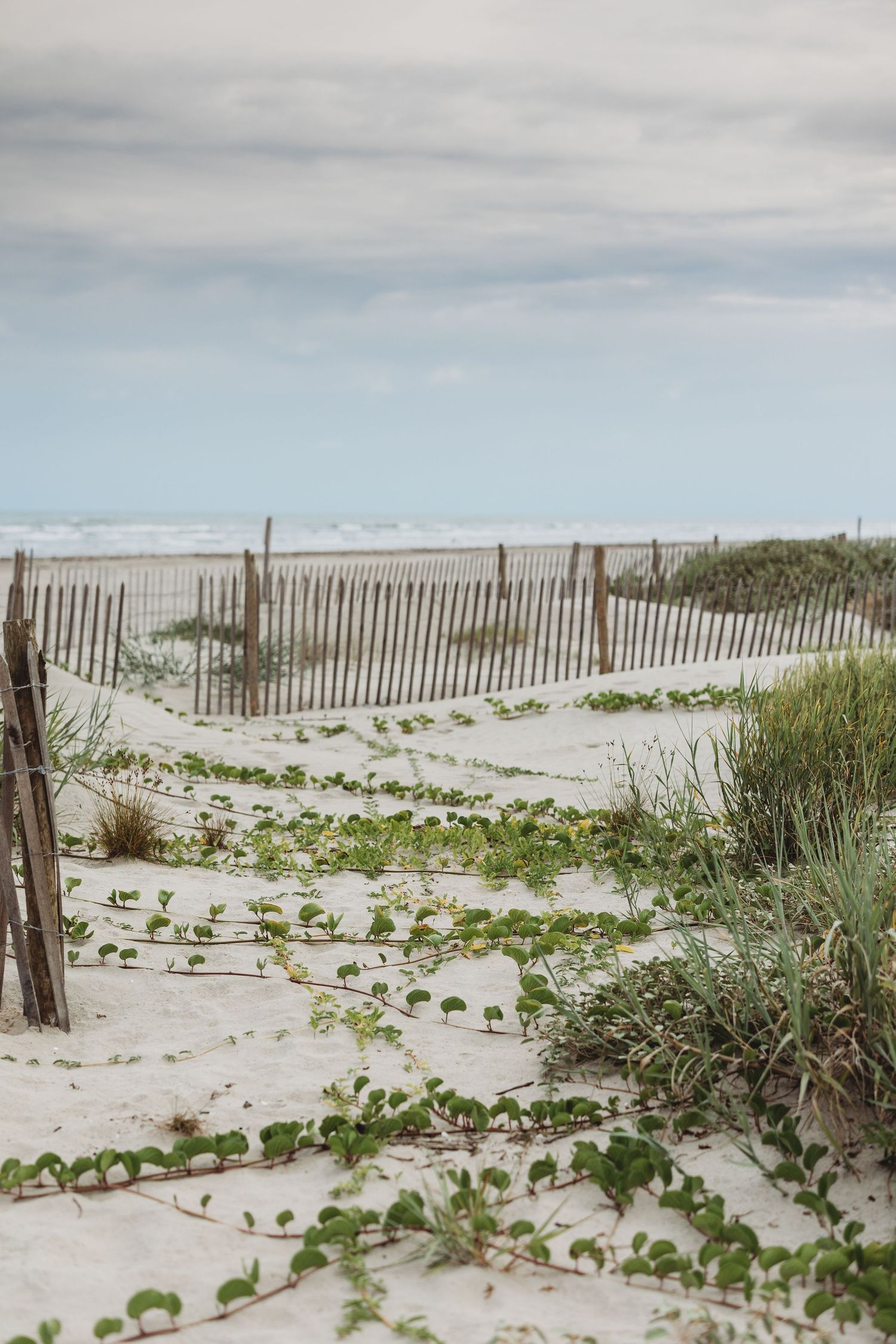 Galveston, Texas Family, Maternity, Lifestyle Newborn, Children, Seniors, Couples, Beach, Elopement Photographer.
