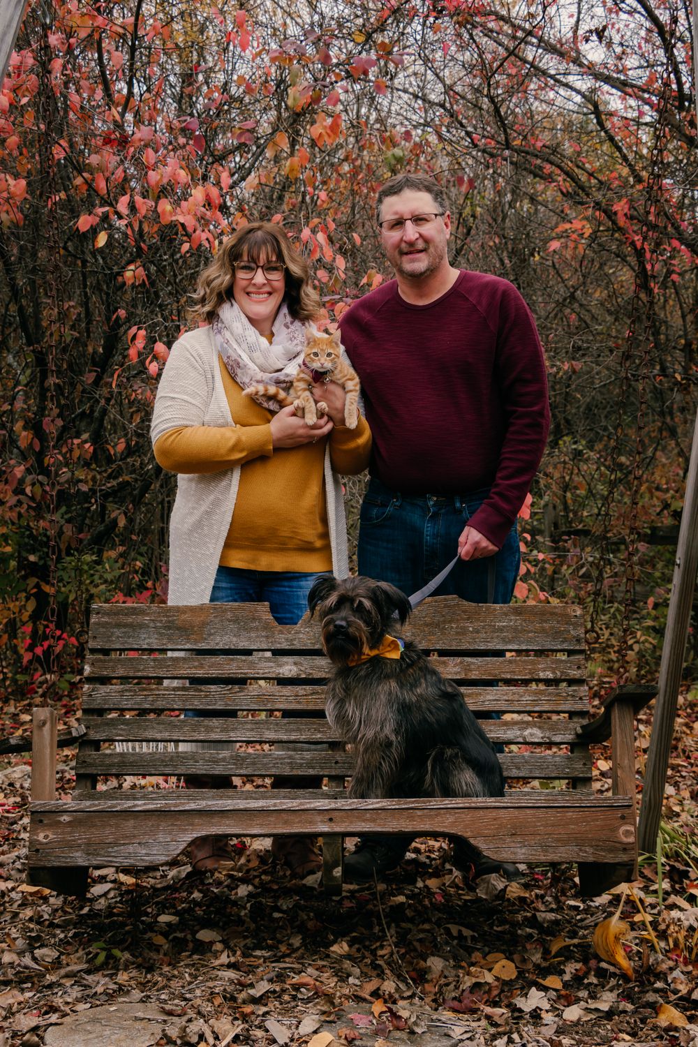 Family photo with couple and their pets on wooden bench surrounded by fall foliage.