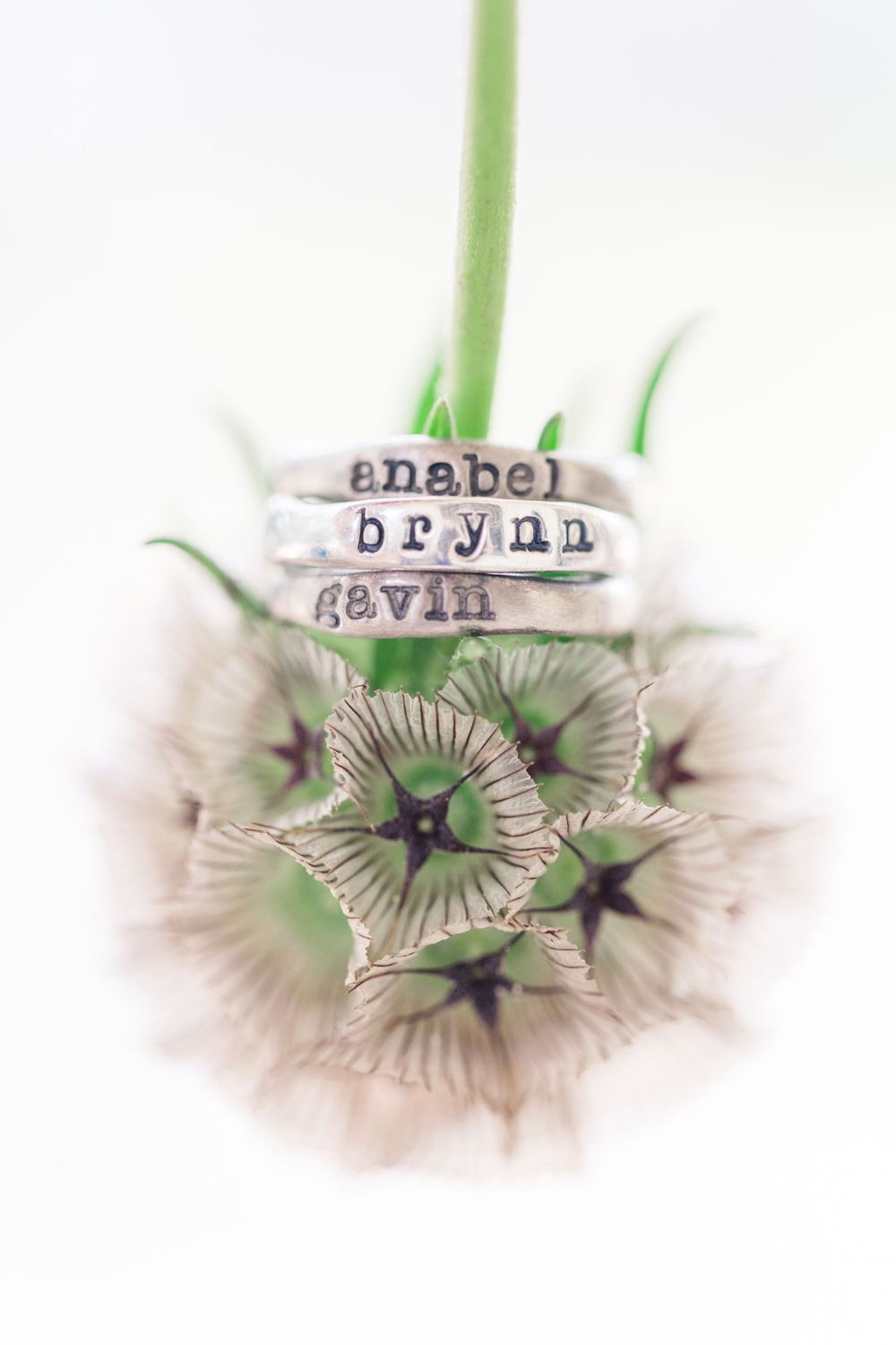 rings stacked on starflower pincushion flower