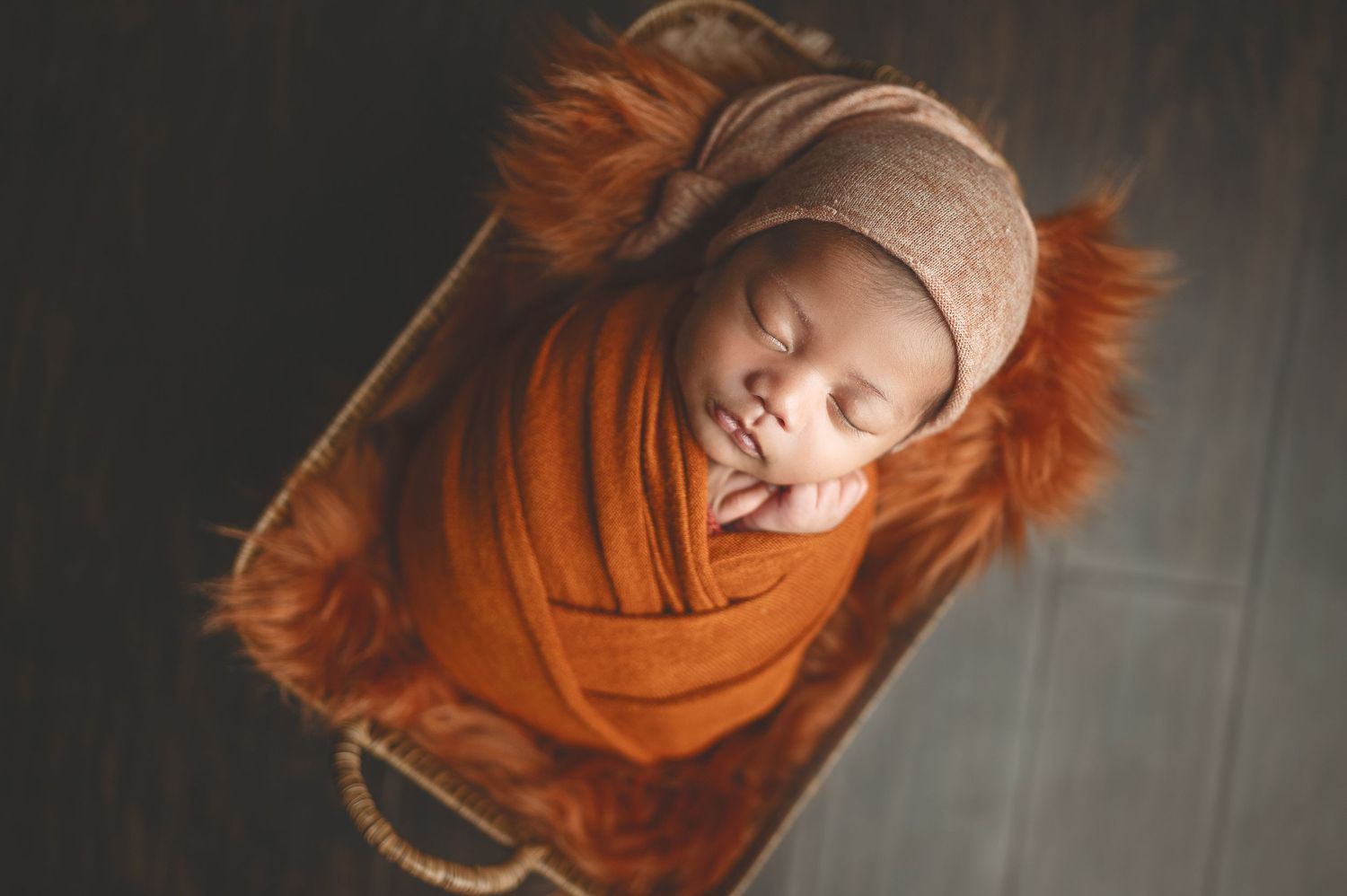 pleasanton newborn photographer / pleasanton newborn photoshoot / pleasanton photo studio / psalms photography studio