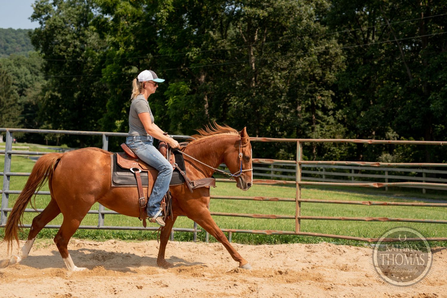 Rider guiding a chestnut horse through training exercises in an outdoor arena with metal fencing.