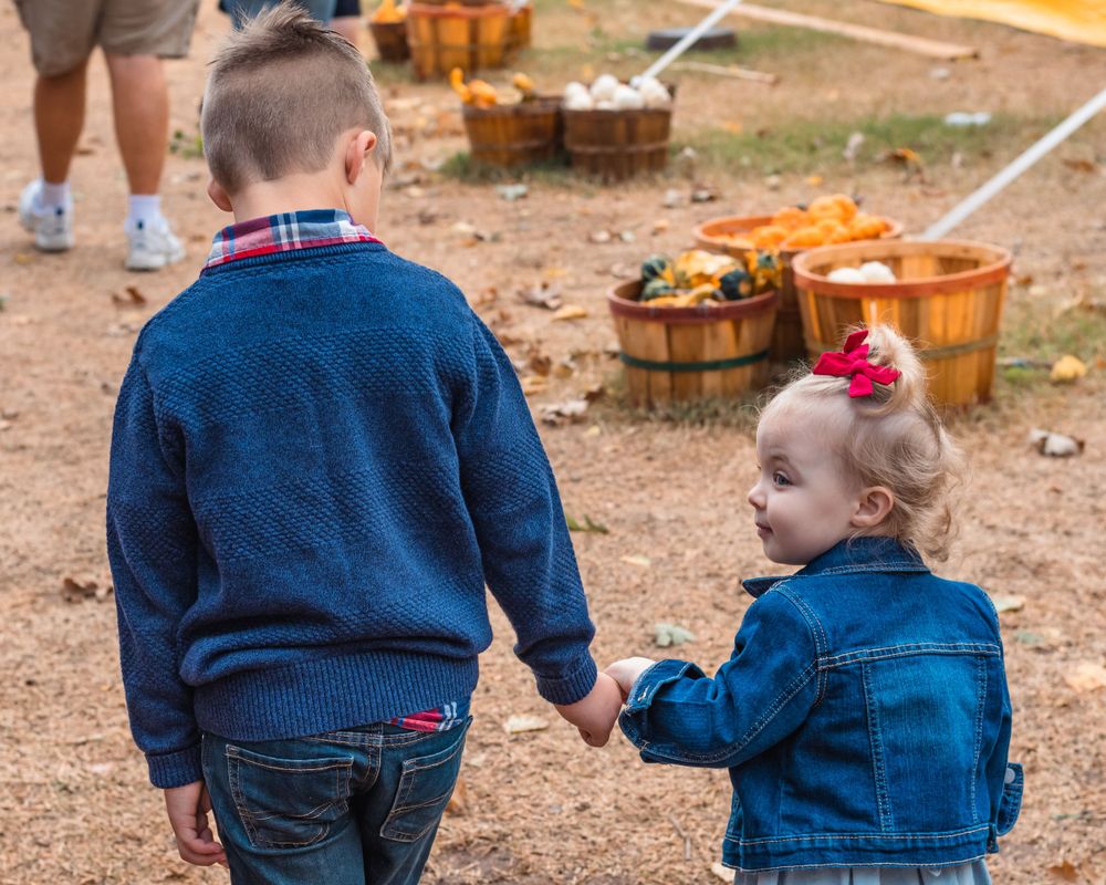 Two children holding hands as they walk through a pumpkin patch
