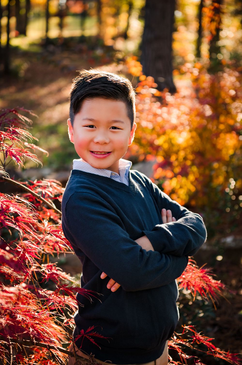 An autumn portrait with vibrant red maple leaves in the background.