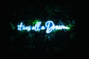 Neon blue sign reading 'It was all a dream' glowing against a dark background with foliage.