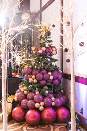 Decorative display featuring white birch trees with purple and gold ornamental balls.