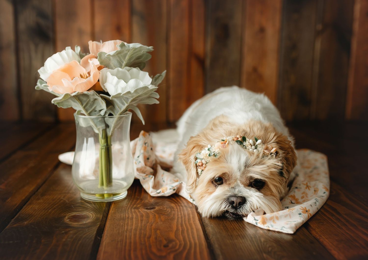 A sweet older Shih Tzu with flowers. Greenville SC Boudoir, Easley SC Boudoir, Upstate SC boudoir
