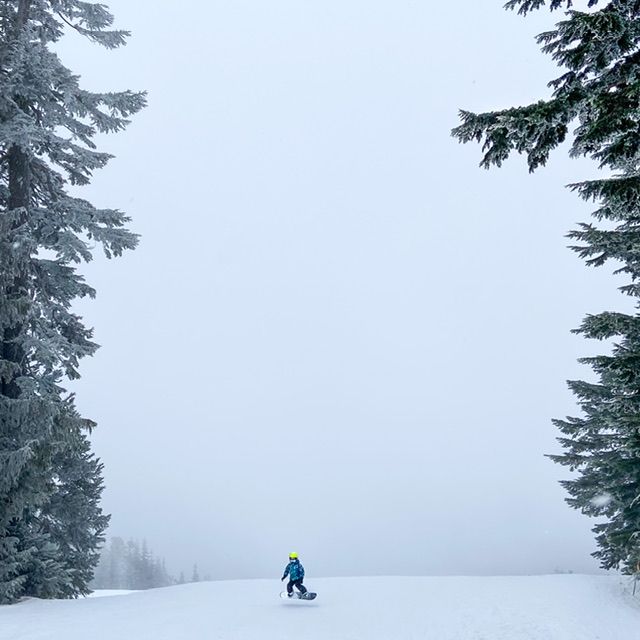 Lone skier on snowy mountain landscape, winter scene in British Columbia