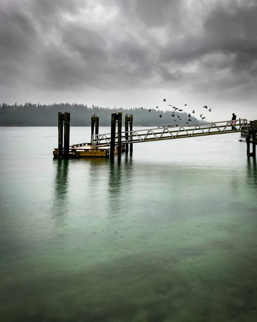 Ambleside Beach portrait photo session location