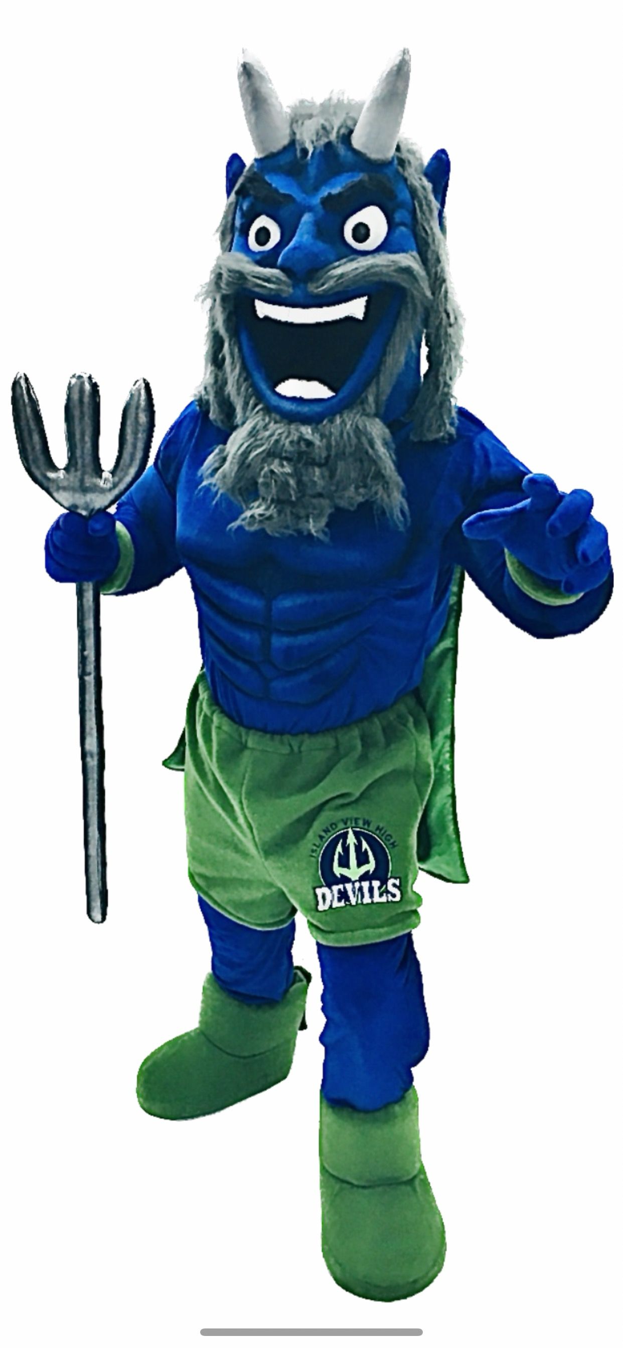Island View Blue Devil mascot team high school mascot Costume Hand Made Made Well Mascots Halifax Nova Scotia Maritimes
