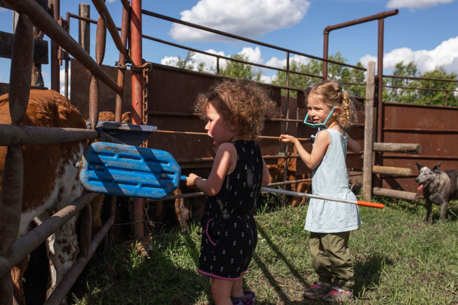 Kids working on a ranch