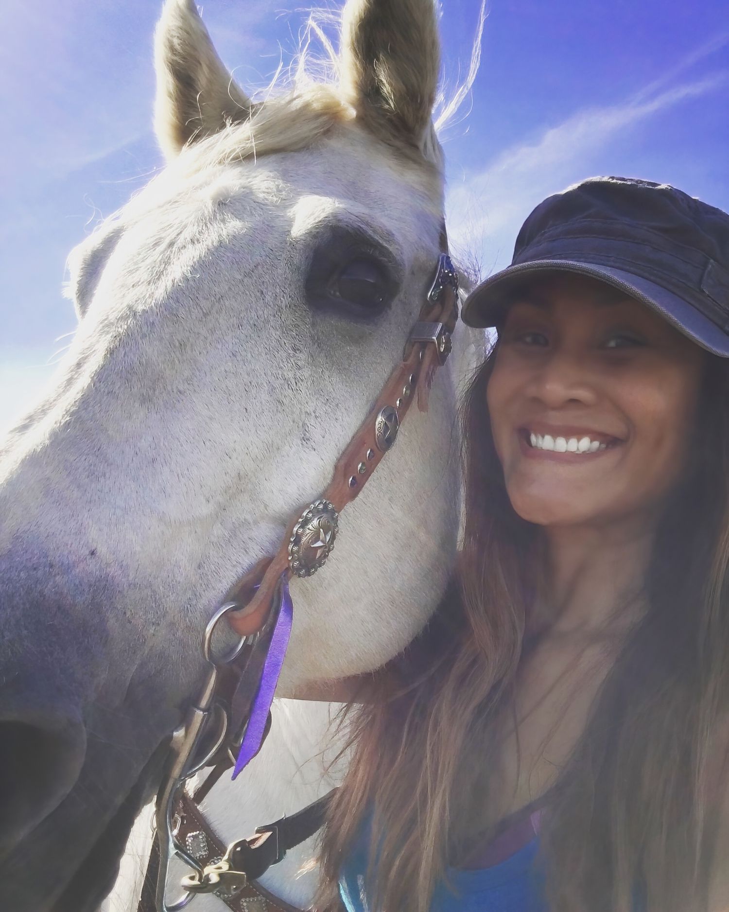 equine