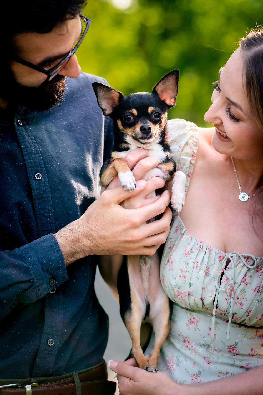 An adorable chihuahua being held and loved by its owners in a park setting.