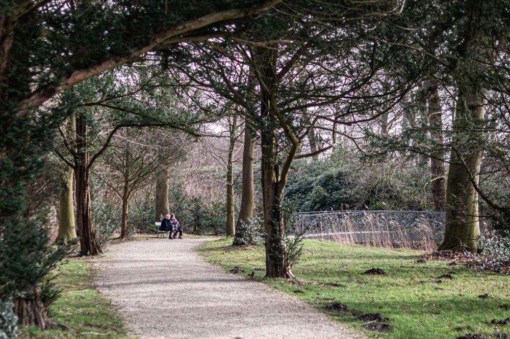 Two elderly woman sit on a bench talking with greenery around them in the Netherlands.