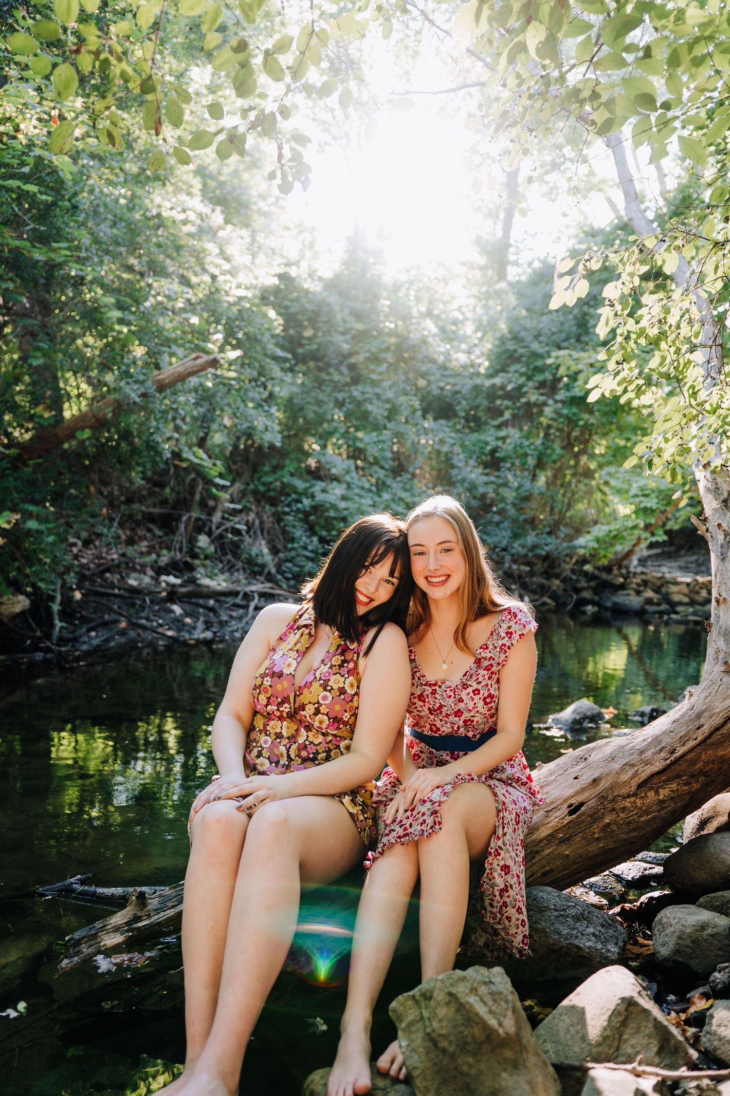 Two friends sitting together on a log by a serene pond in dappled sunlight.