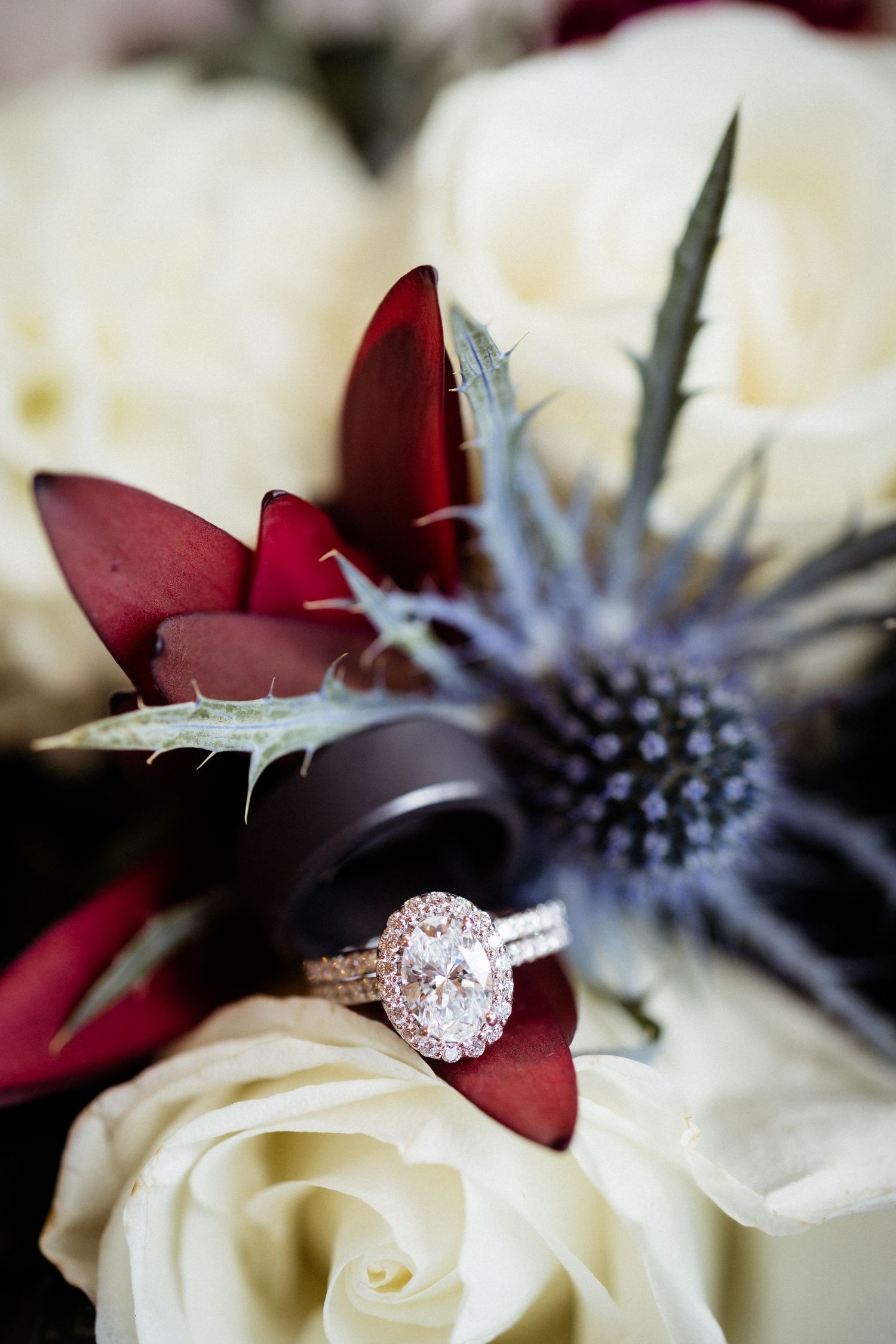 A sparkling oval diamond engagement ring nestled among white roses, red petals, and a blue thistle flower.