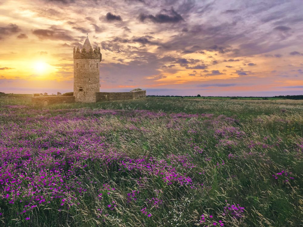 Digital backdrop of a castle and a sunset.