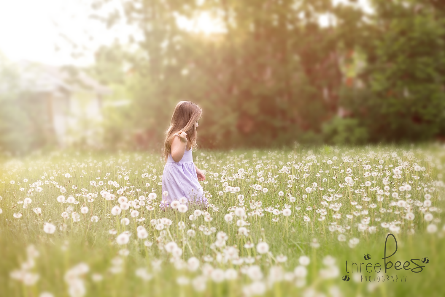 newborn photography, quinte west, trenton, brighton, cobourg ontario, family photos, photography, studio photography,