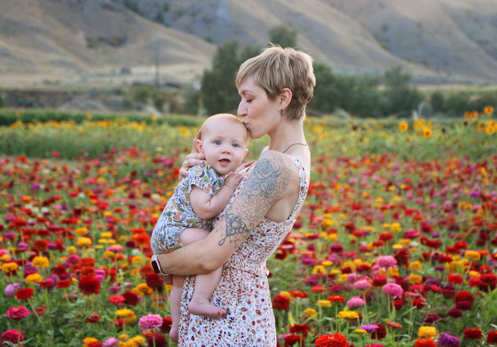 Scenic flower garden with mountains and evening light creating a magical atmosphere.