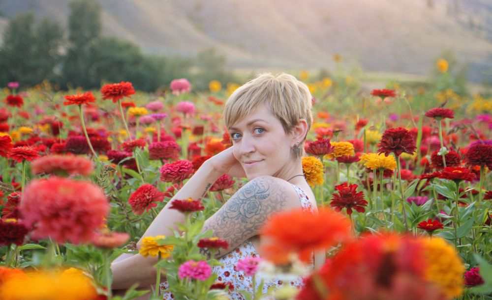 Colorful zinnias bloom in a mountain valley garden during golden hour.