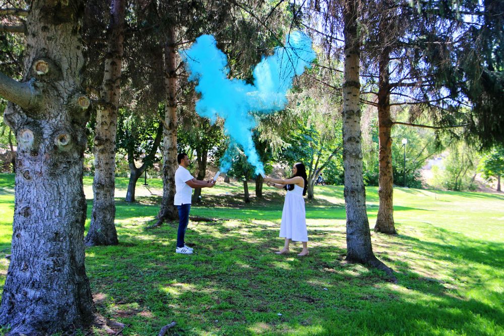 People walking through a sunlit park with tall evergreen trees.