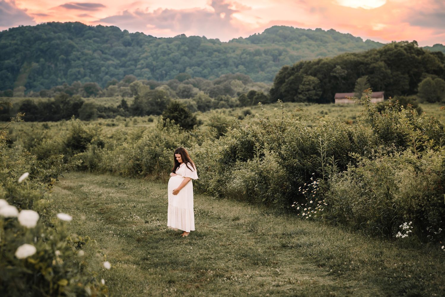 Tennessee Pregnancy and Maternity Photographer Middle TN