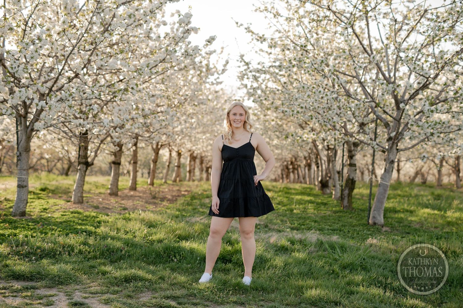 Person in a black dress poses between blooming cherry blossom trees in an orchard on a sunny spring day.