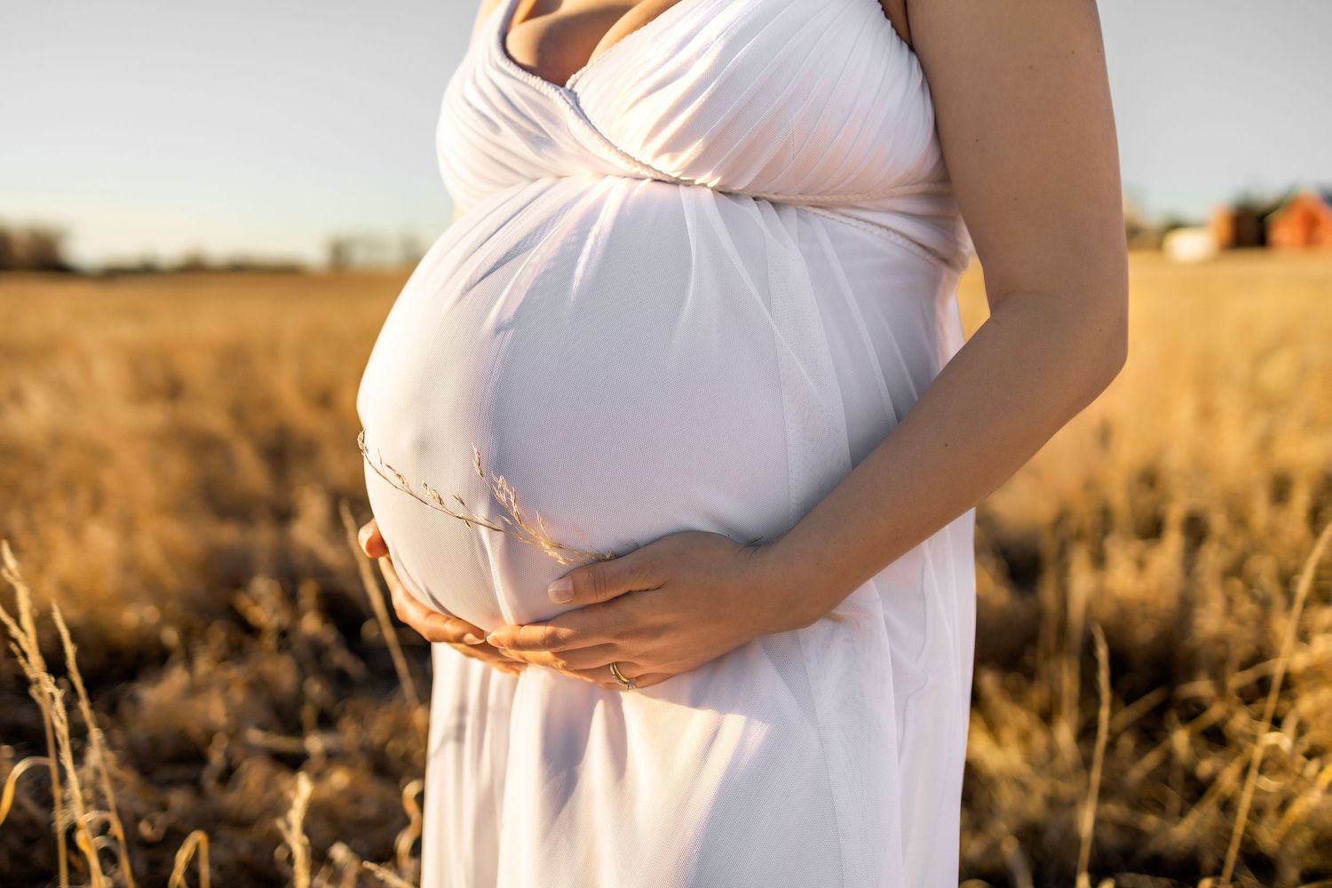 close up of pregnant belly, white dress, she is holding a piece of grass over her bump, long grass seen behind