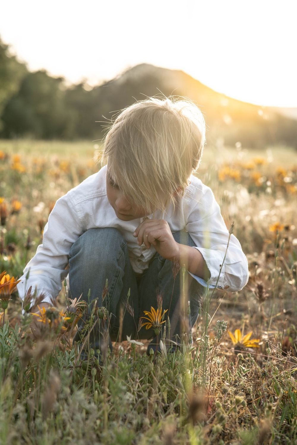 Blond child crouching in a wildflower field at golden sunset, smelling a flower.