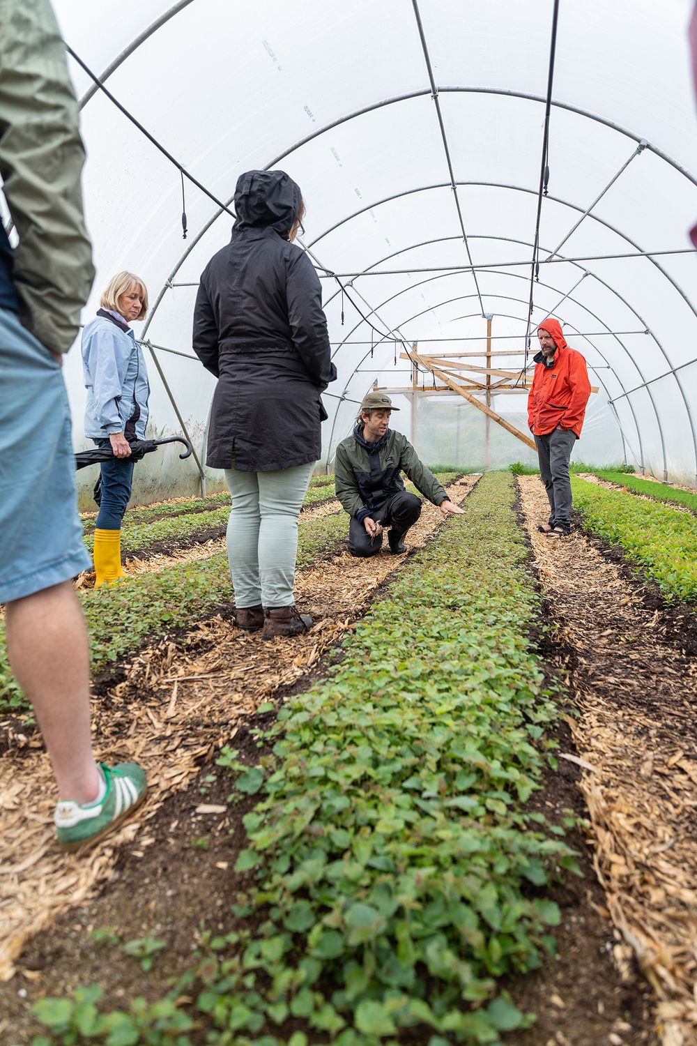 Hometree charity organisation's summer school event Ardnaculla. people standing in the greenhouse looking at plants