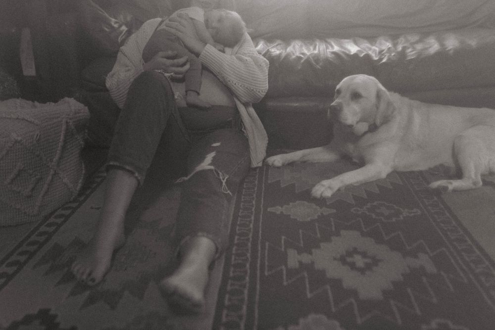 A tranquil scene on a patterned rug with a white Labrador resting nearby.