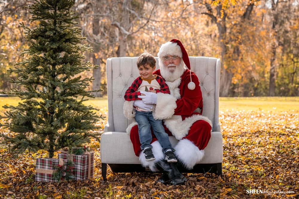 Seasonal portrait featuring a white armchair, Christmas tree and wrapped presents in an autumn setting.
