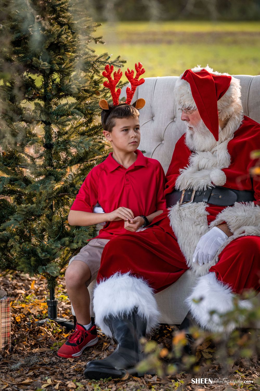 Holiday scene with decorated evergreen tree and reindeer antlers against natural background.