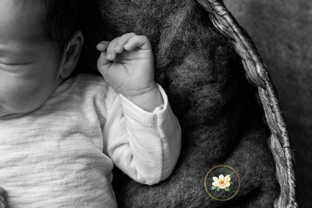 newborn photographer, Bucks county pa, montgomery county pa