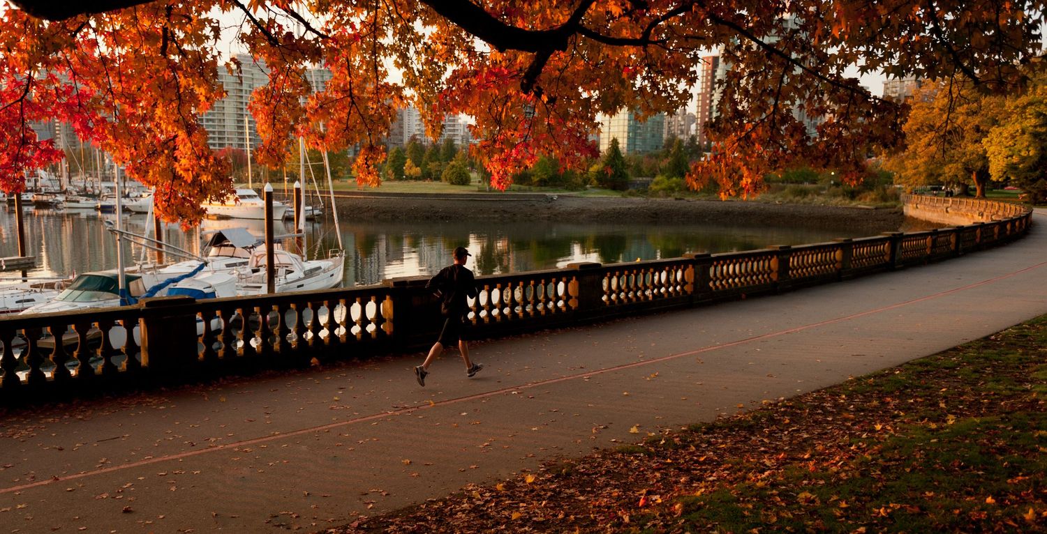Autumn leaves frame a scenic park pathway with red foliage and ornate railing.