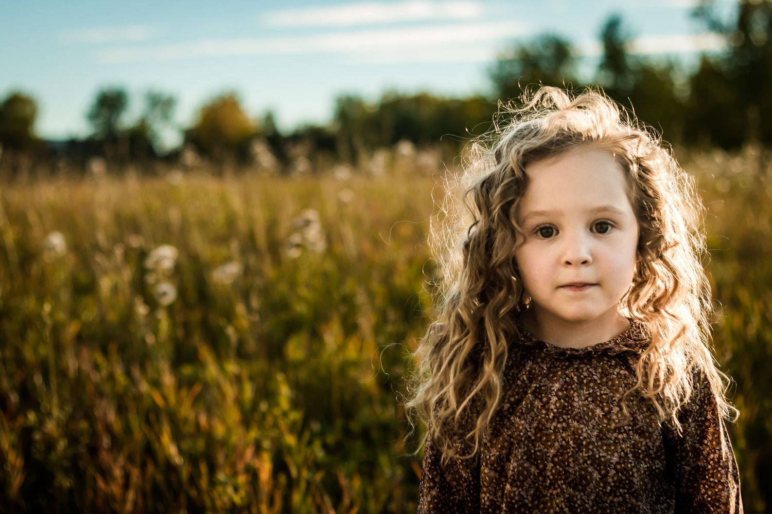 Beautiful backlit portrait during fall family photos at golden hour in Fish Creek Park, Calgary Alberta.