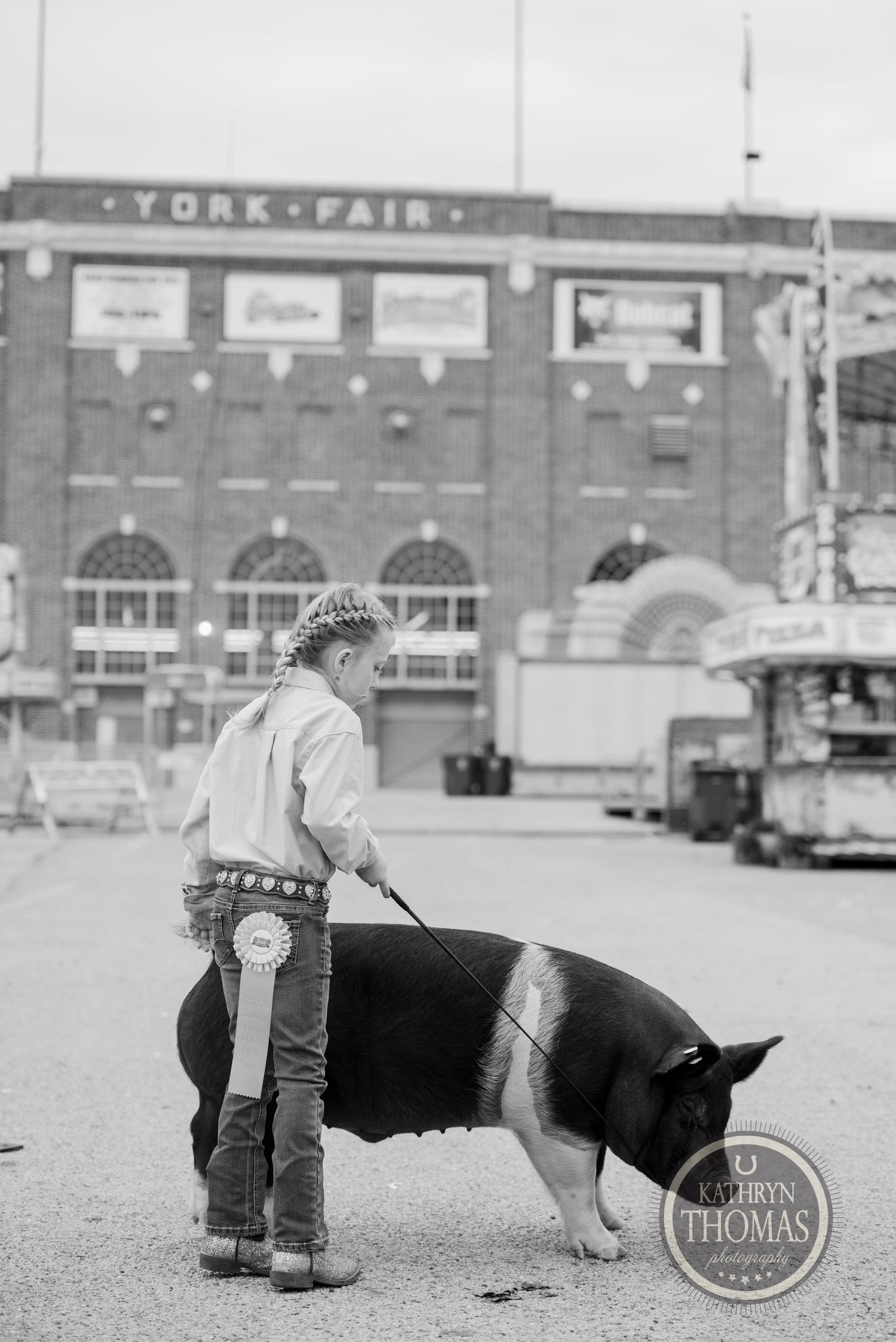 Black and white photo of livestock exhibition at historic York Fair.
