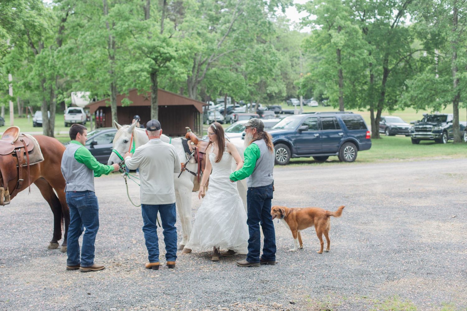 People gathered around horses in a parking lot with trees and buildings in background.