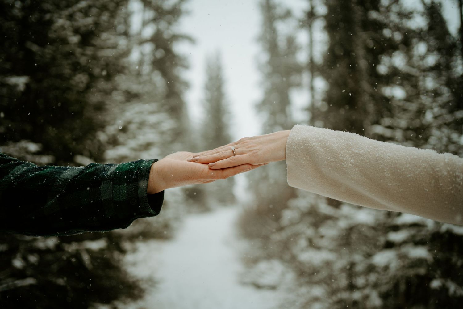 Two hands reaching towards each other in a snowy winter forest scene.