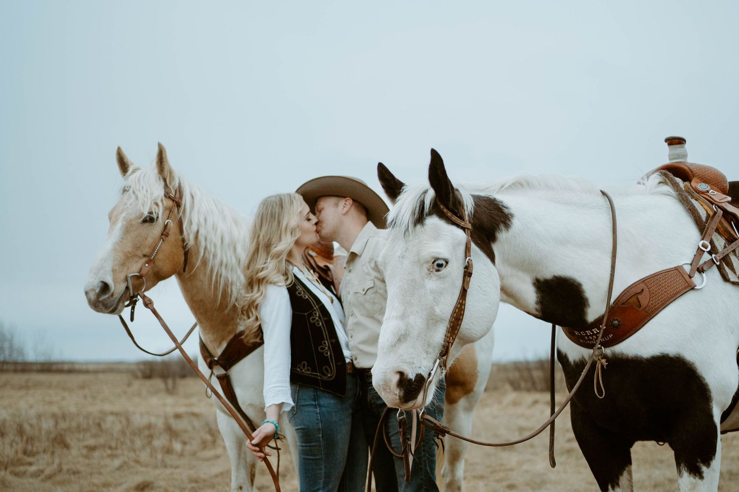Beautiful white horses with riders stand together in a winter field.