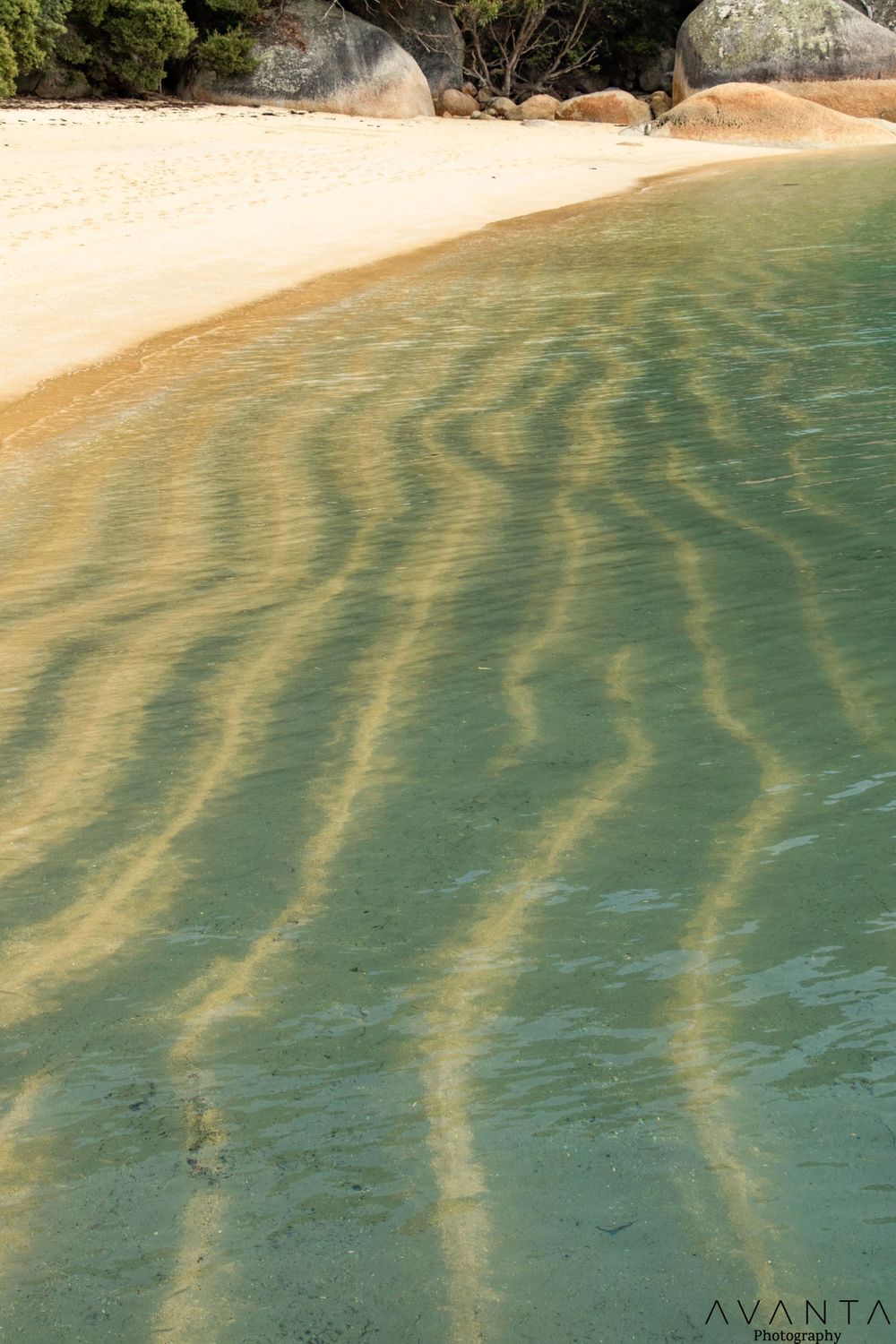 Refuge Cove Cruises - Wilsons Prom