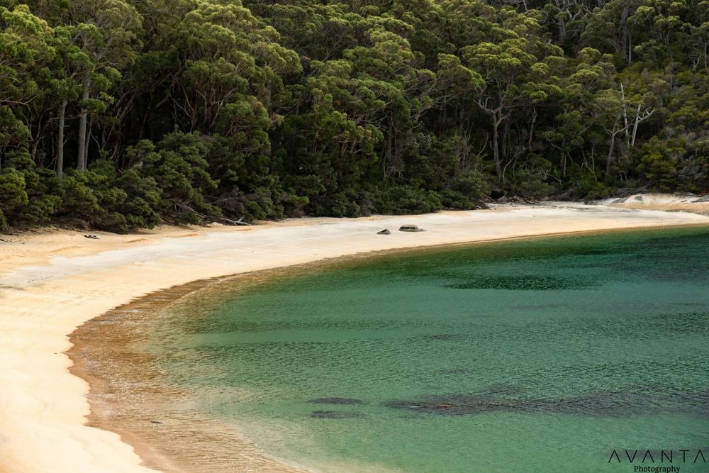 Refuge Cove Cruises - Wilsons Prom