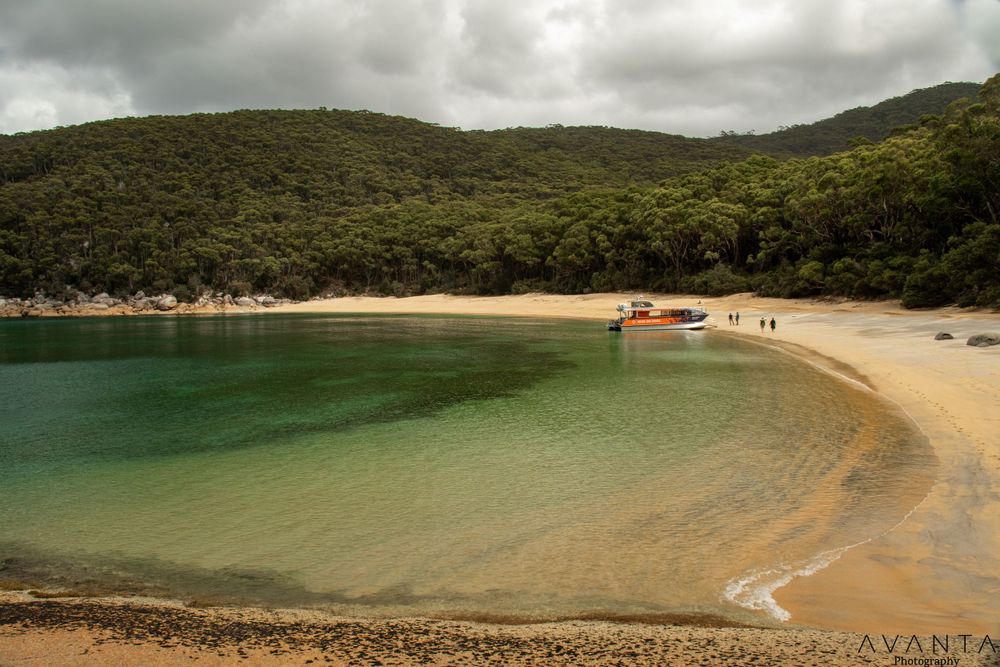 Refuge Cove Cruises - Wilsons Prom