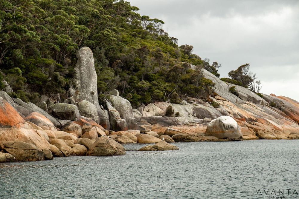 Refuge Cove Cruises - Wilsons Prom