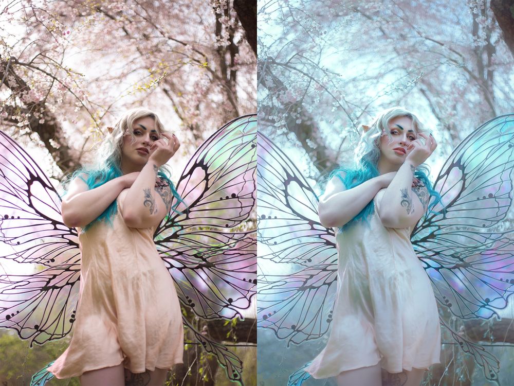 Ethereal fantasy portraits with fairy wings in dreamy cherry blossom setting.