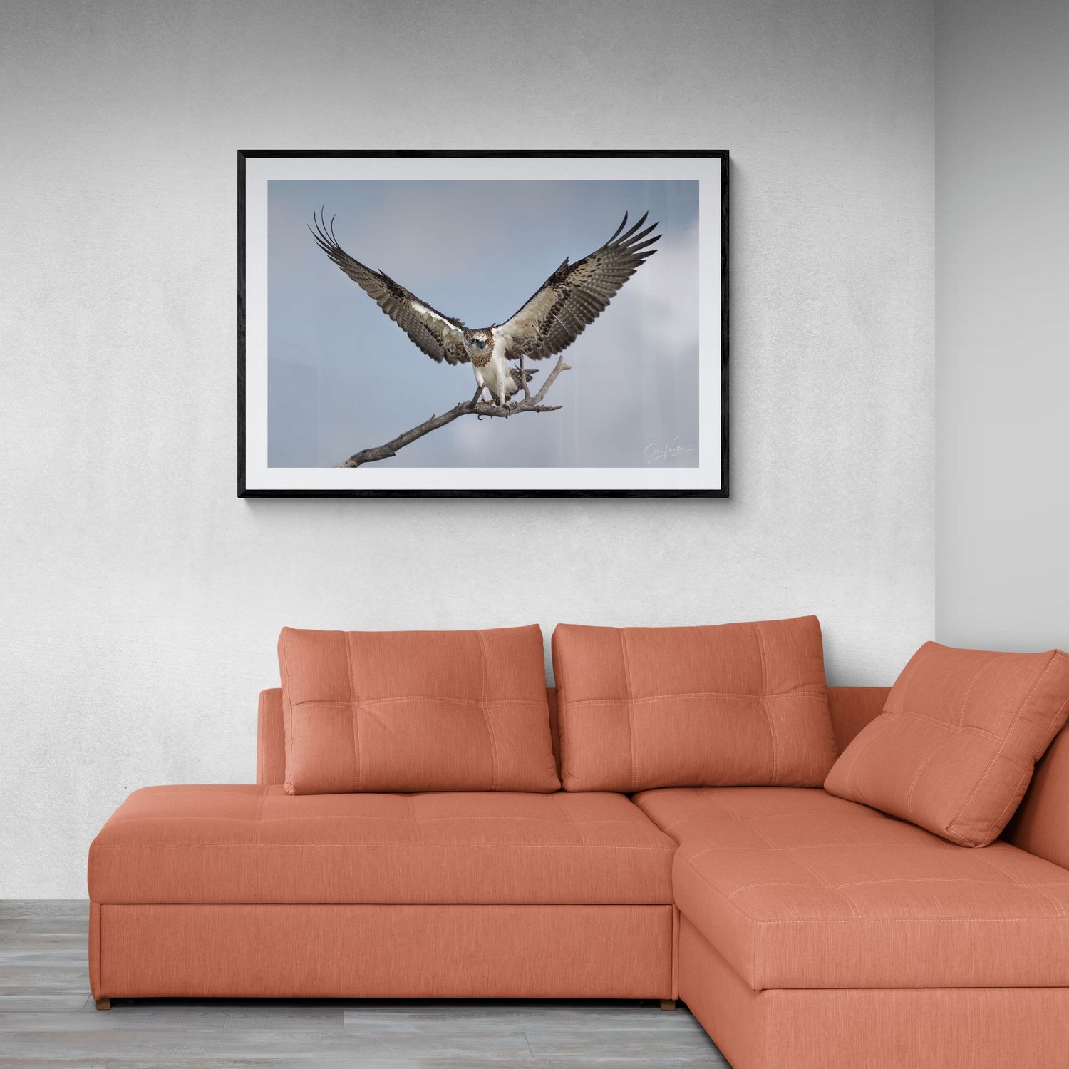A framed photograph of an eagle in flight mounted above a coral-colored sectional sofa.