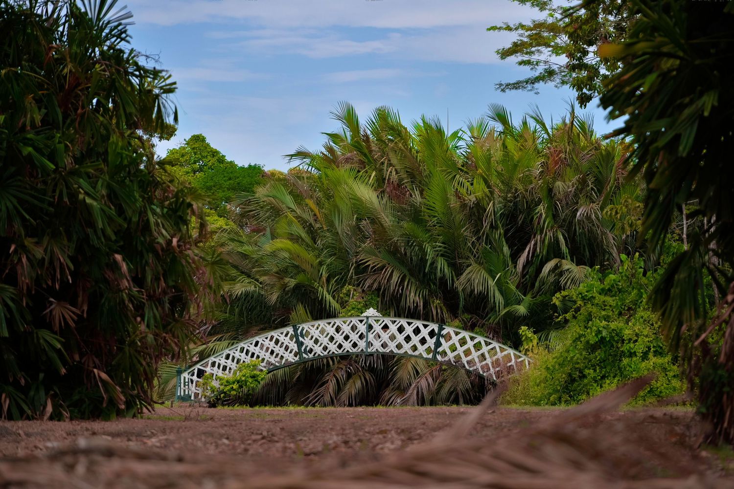 Botanical Gardens Guyana
