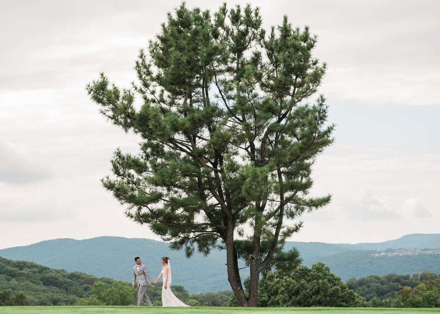 Wedding couple stands under a majestic lone pine tree on a hilltop with rolling mountains in the distance.
