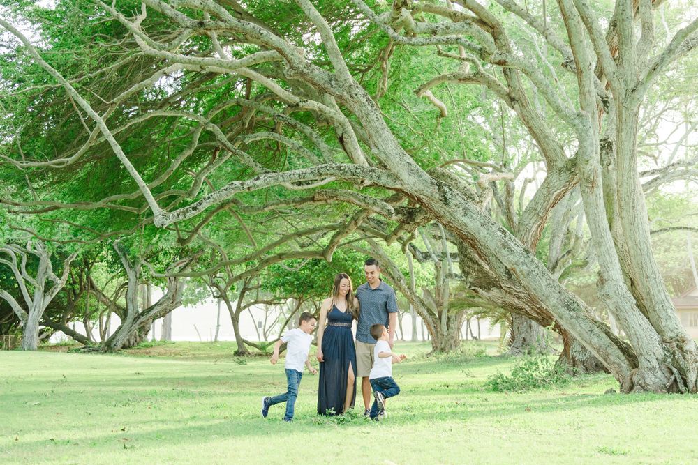 Family walking under large canopy trees in a lush Hawaiian park setting.Oahu Family Photographer